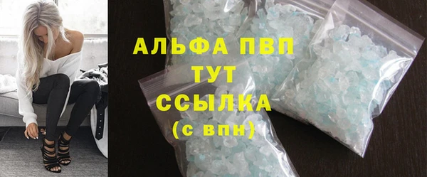 гидра Алексин