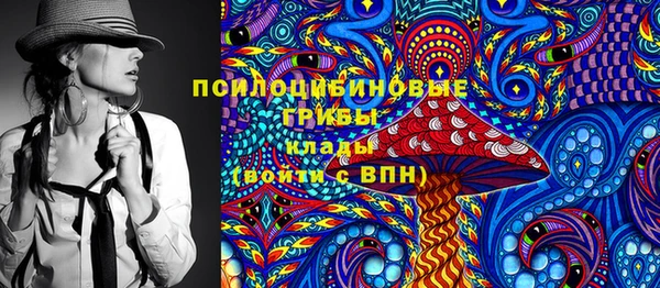каннабис Новозыбков