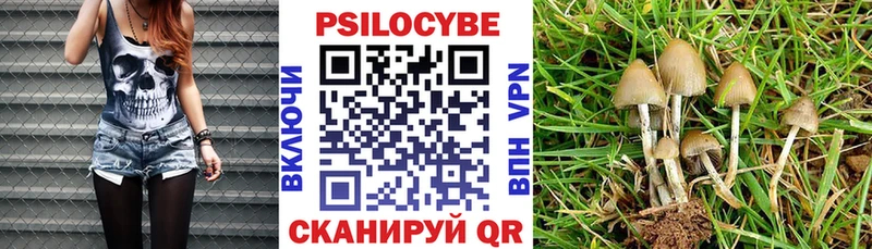 hydra онион  Саки  Псилоцибиновые грибы MAGIC MUSHROOMS 